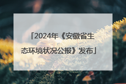 2024年《安徽省生态环境状况公报》发布