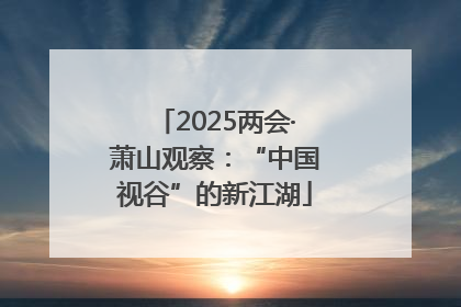 2025两会·萧山观察：“中国视谷”的新江湖