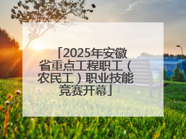 2025年安徽省重点工程职工（农民工）职业技能竞赛开幕