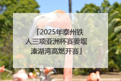 2025年泰州铁人三项亚洲杯赛姜堰溱湖湾高燃开赛