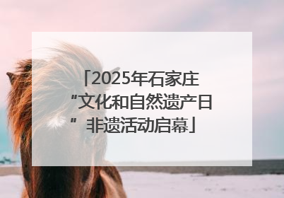 2025年石家庄“文化和自然遗产日”非遗活动启幕
