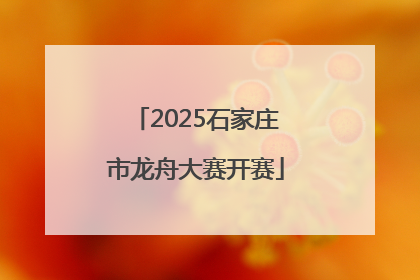 2025石家庄市龙舟大赛开赛