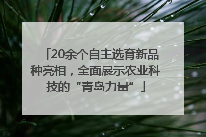 20余个自主选育新品种亮相，全面展示农业科技的“青岛力量”