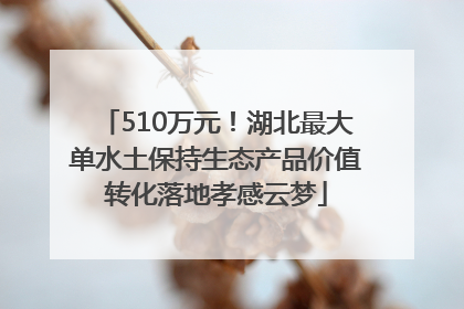 510万元！湖北最大单水土保持生态产品价值转化落地孝感云梦