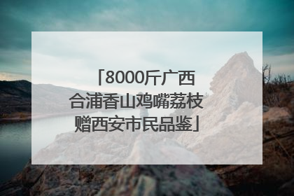 8000斤广西合浦香山鸡嘴荔枝赠西安市民品鉴
