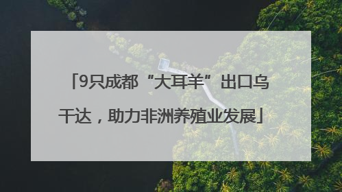 9只成都“大耳羊”出口乌干达，助力非洲养殖业发展