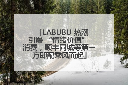 LABUBU 热潮引爆 “情绪价值” 消费，顺丰同城等第三方即配乘风而起